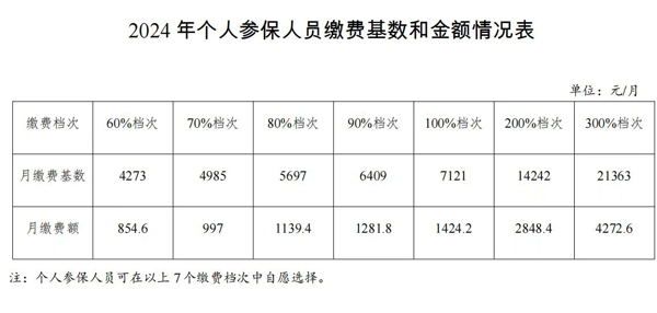 2024年個人參保人員繳費基數和金額情況表