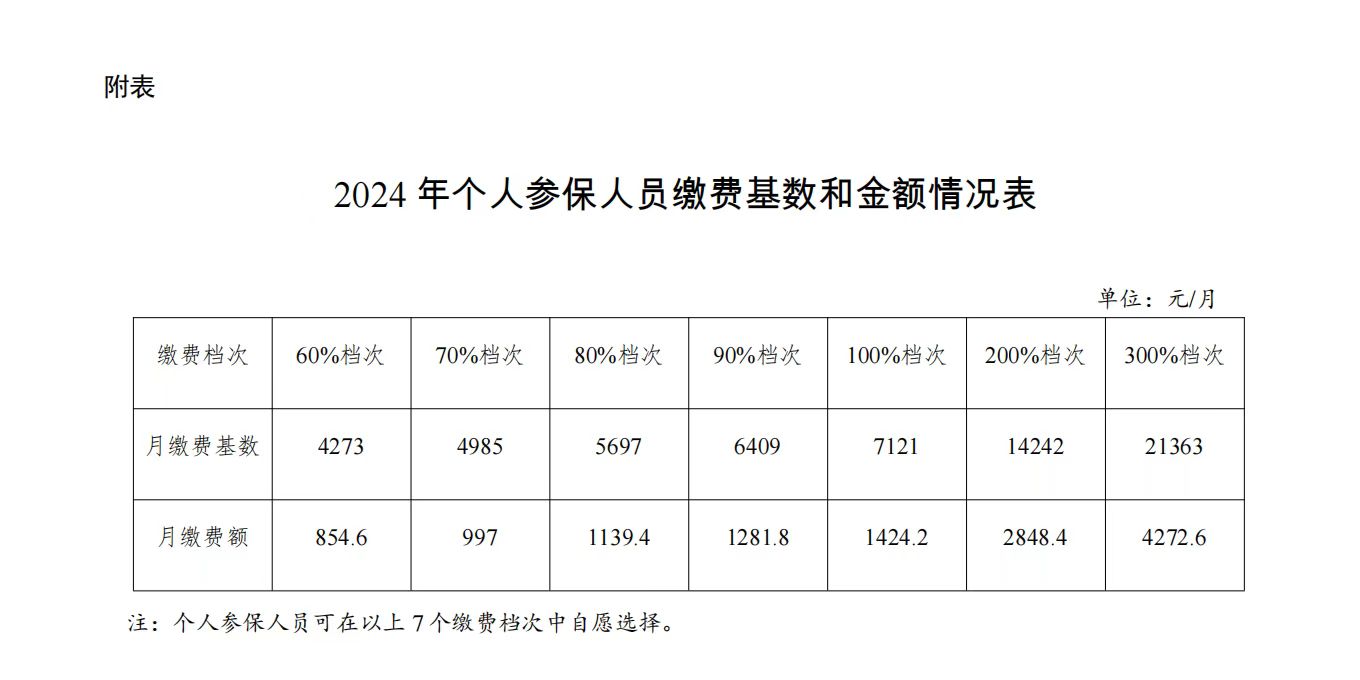 2024年個人參保人員繳費基數和金額情況表